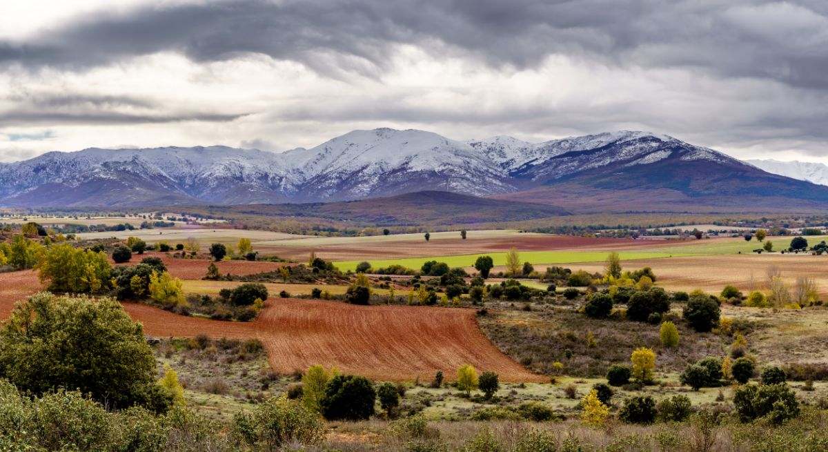 La ruta que tienes que hacer sí o sí por "uno de los bosques más hermosos de la Comunidad de Madrid": es perfecta para el verano