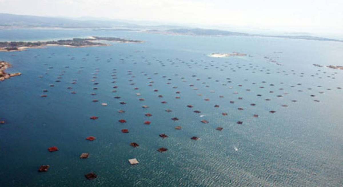Una fotografía de la Ría de Arousa.