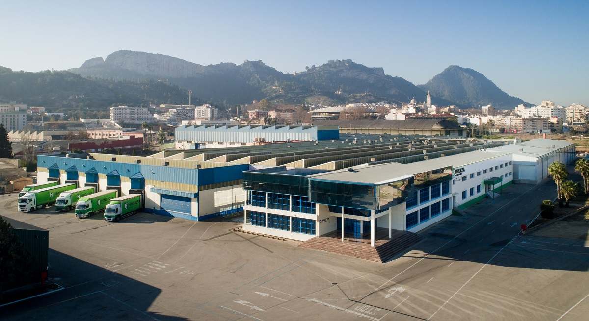 Planta de Hinojosa en Xàtiva.