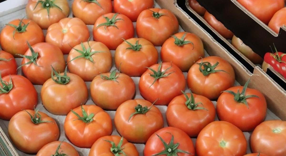 tomates-europapress-ep.jpg