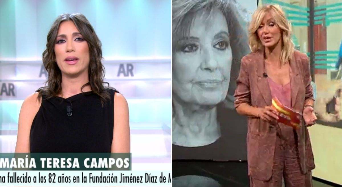 pardo-griso.jpg