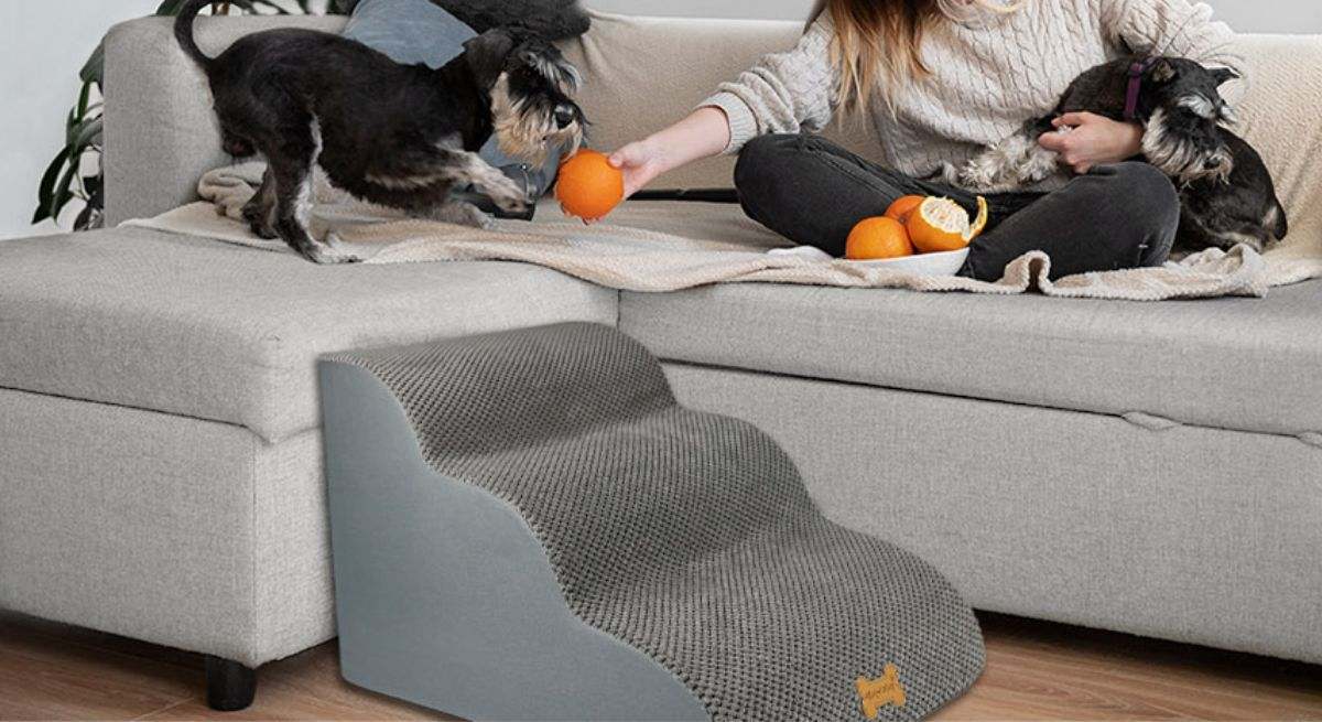 Escalera para perros medianos de Nepfaivy