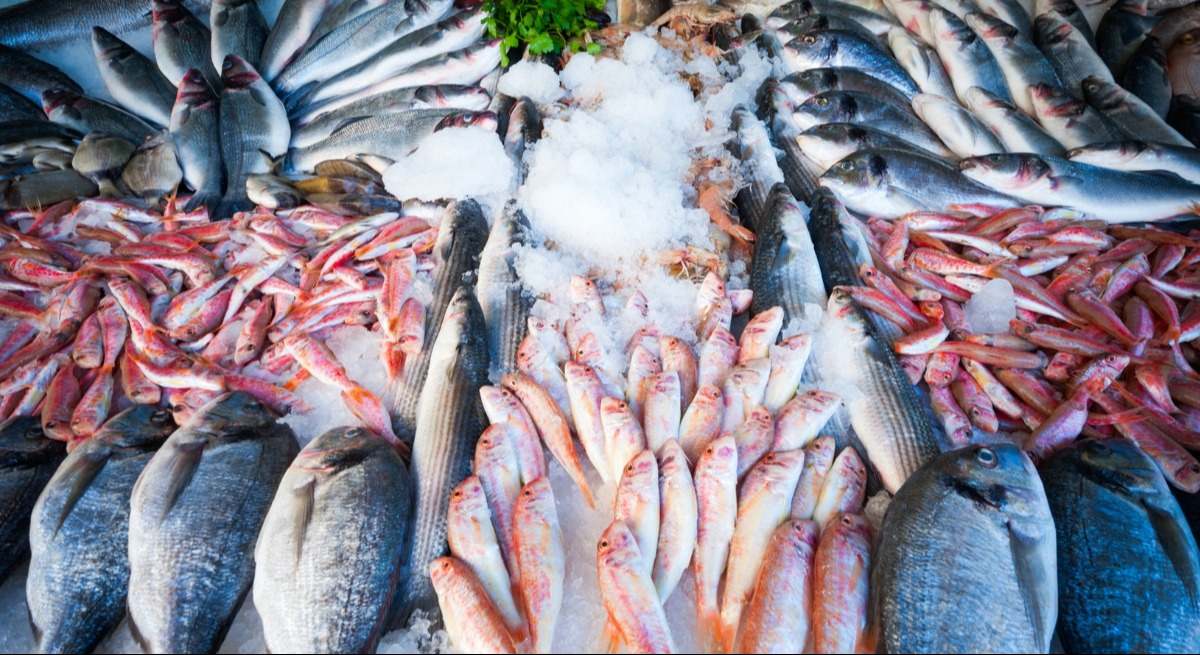 pescado-fresco