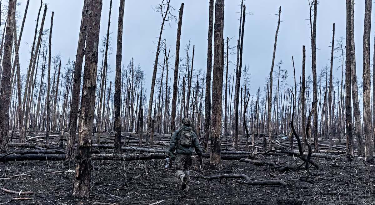 Un soldado ucraniano en lo que antes era un bosque frondoso
