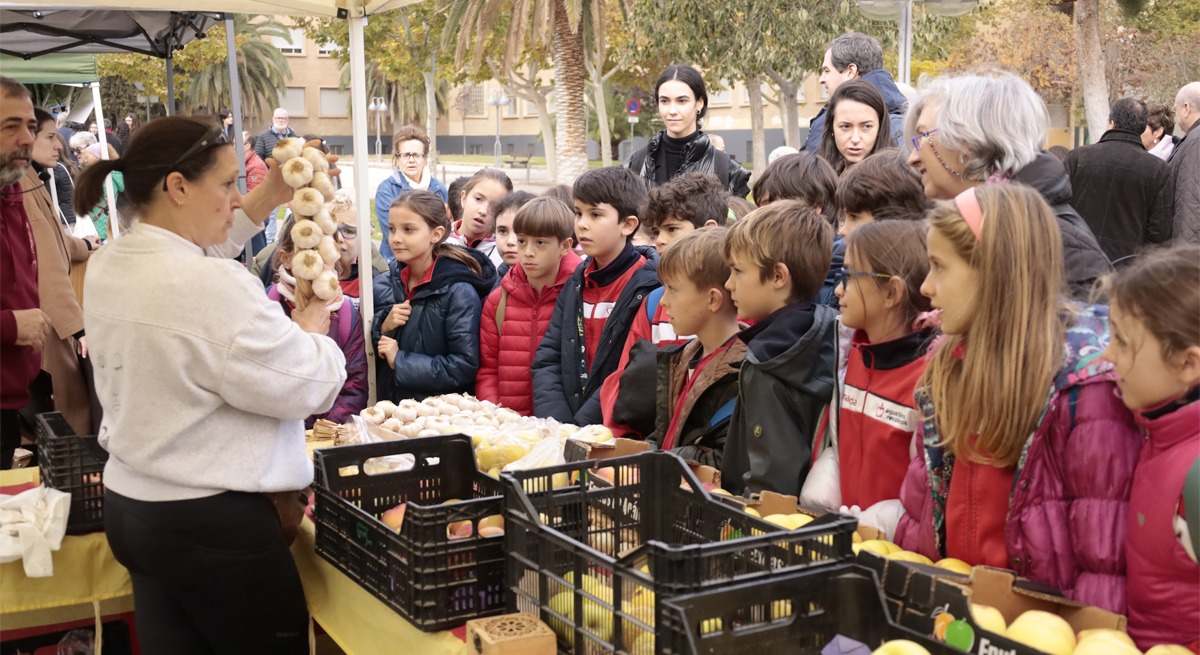 mercado agroecologico