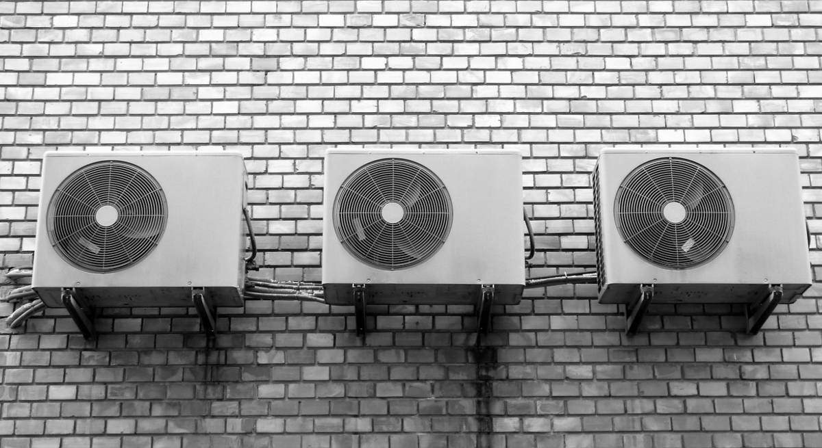 wall-g9733f5d9a_1280-1.jpg