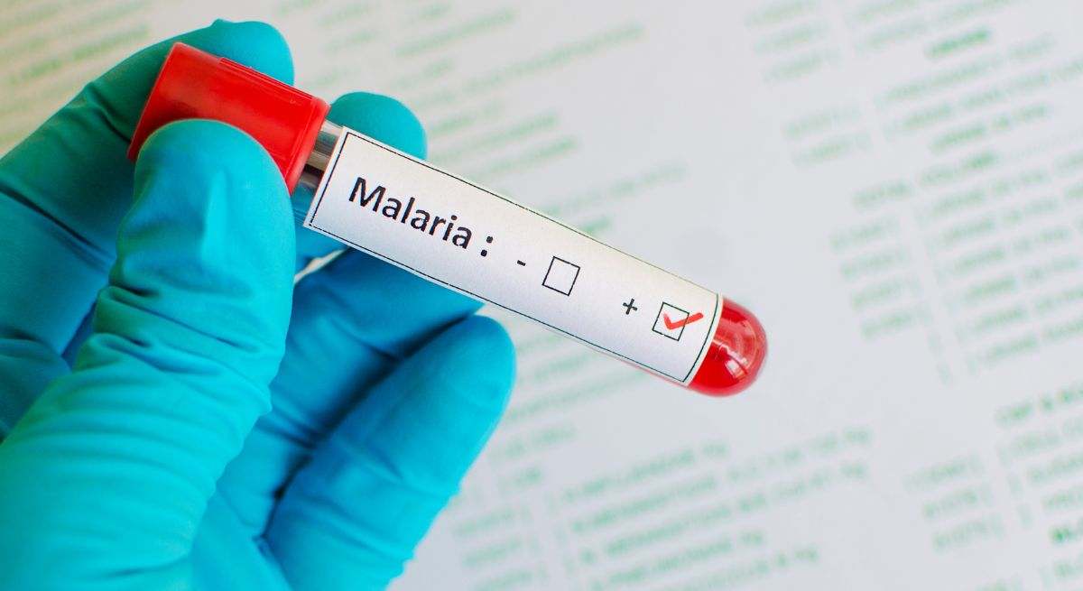 Malaria 