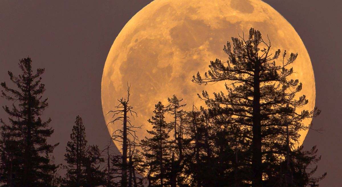 superluna-istock.jpg