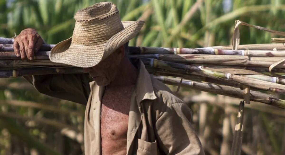 Un trabajador en una plantación de caña de Cuba