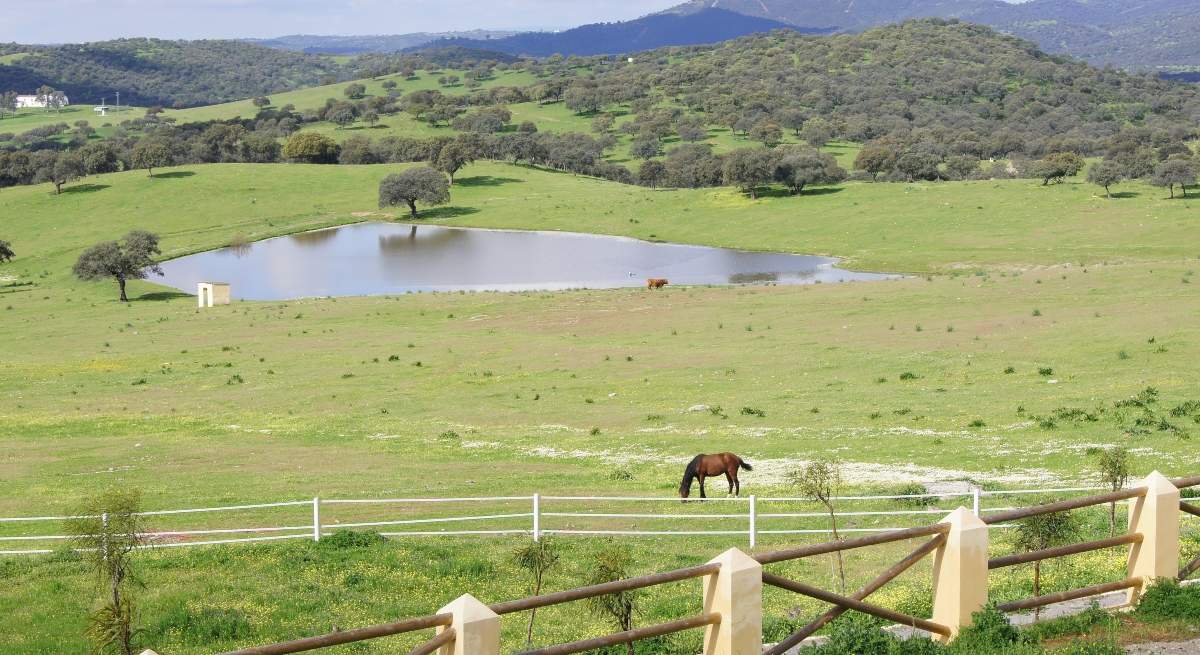 finca-rustica.jpg