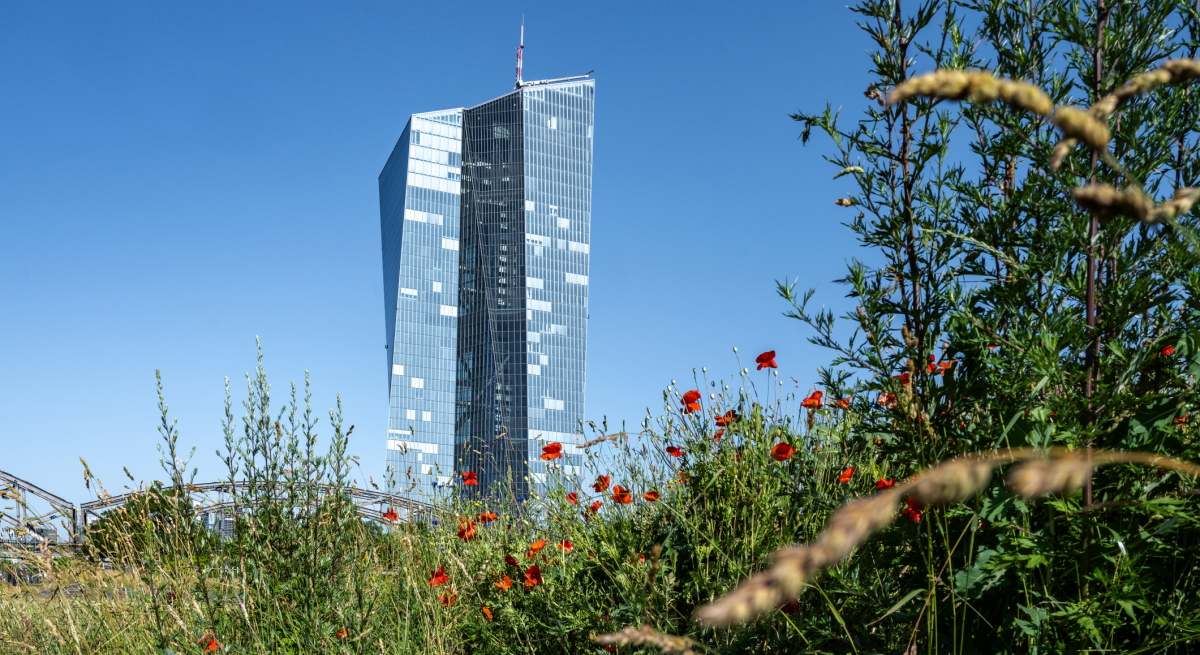 bce-edificio-vegetacion-istock
