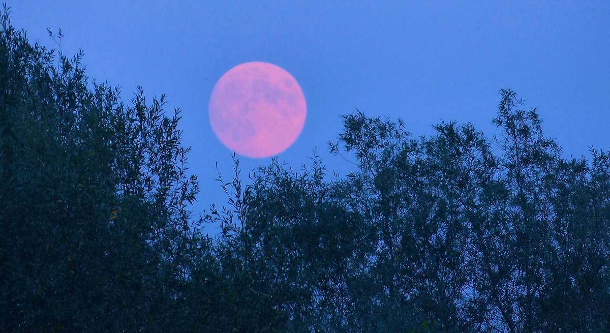 Luna de Fresa. / Foto: iStock