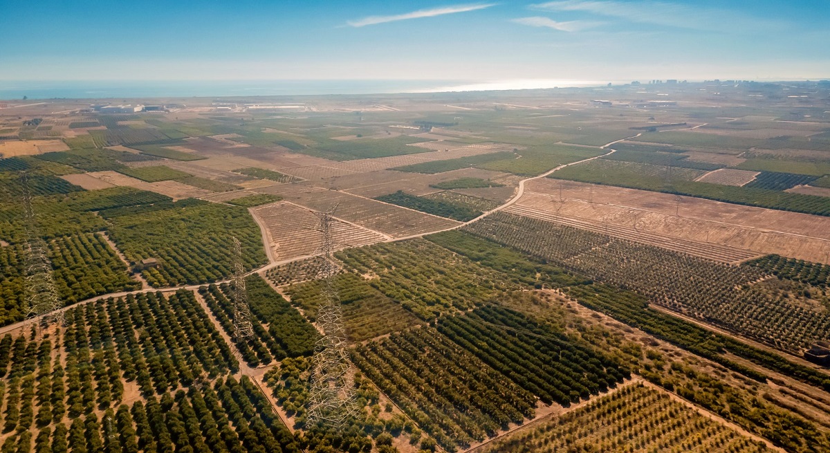 Suelo-sagunto-web.jpg