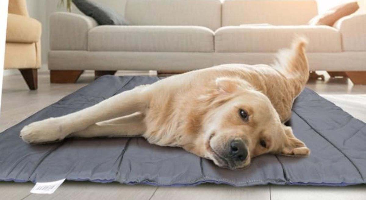 Cama para perros de Nobleza