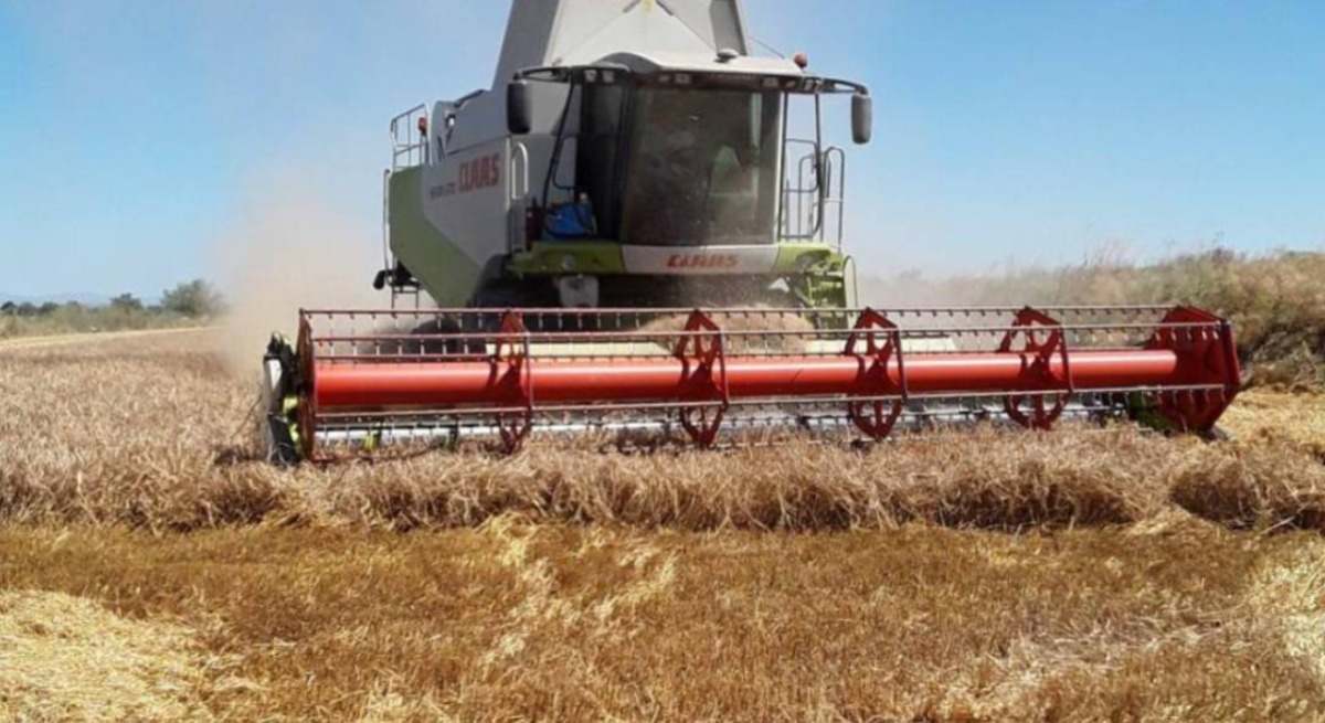 seguros agrarios