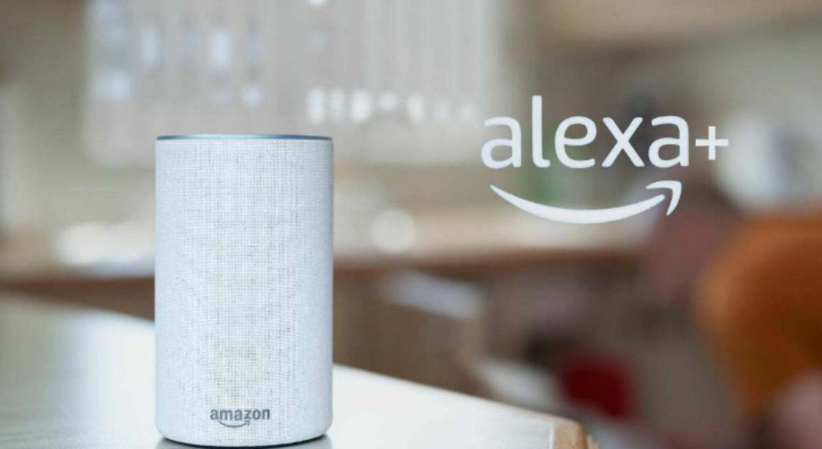 bee amazon