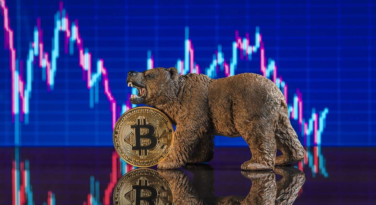 oso-cripto-bitcoin-1200x855.jpg