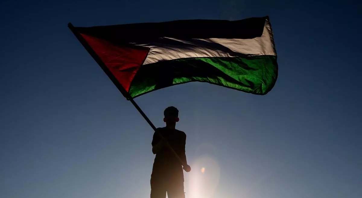 Un joven de Gaza agita la bandera palestina / EP