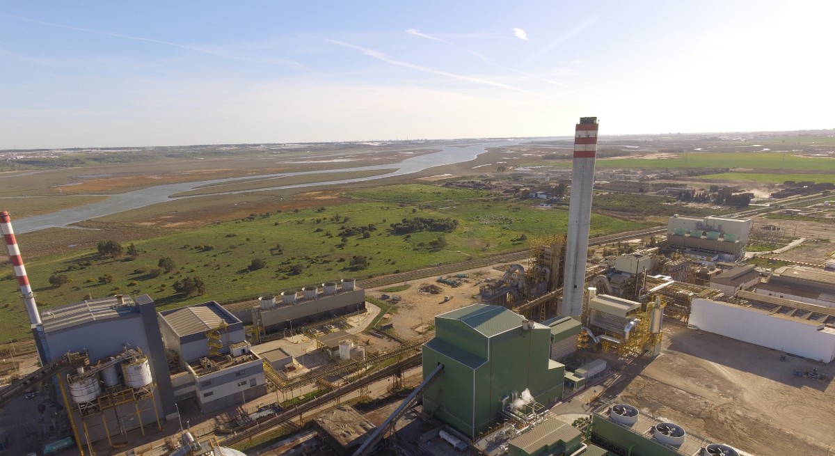Ence-planta-1200-eE.jpg