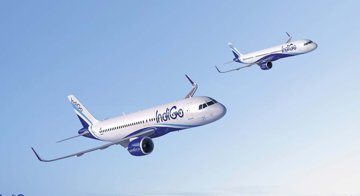 indigo.jpg