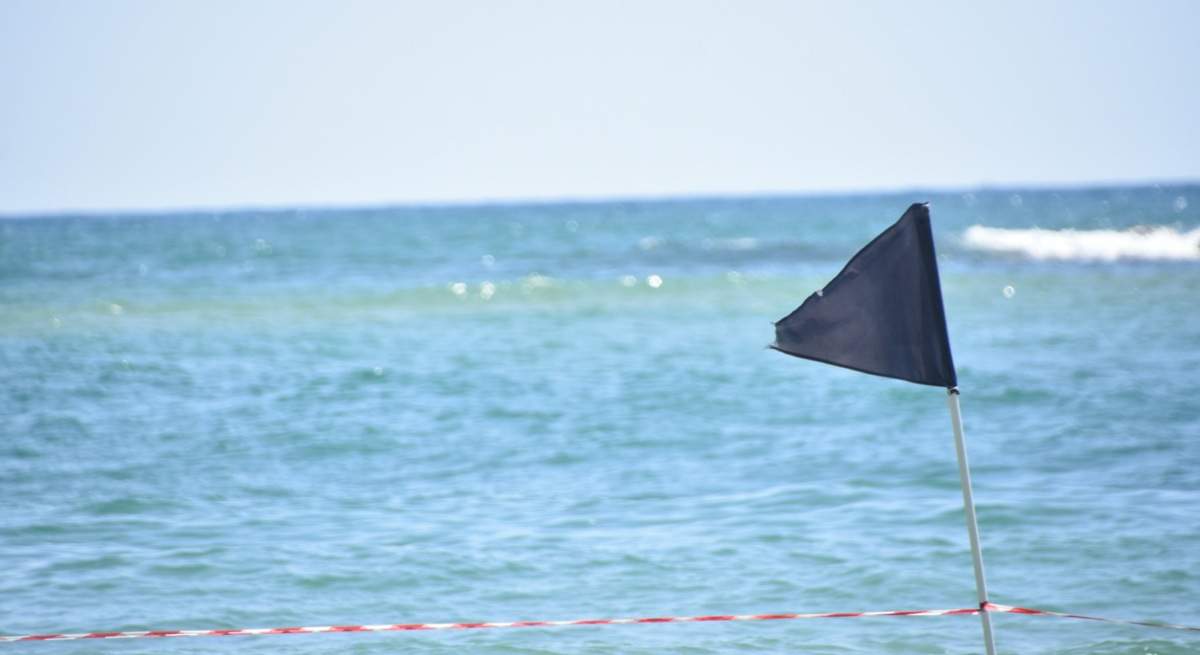 iStock-1250910188-1.jpg