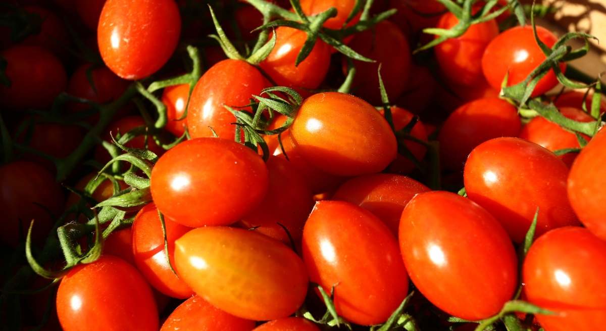 Tomates cherry