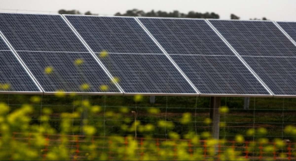 Planta fotovoltaica. Fernando Ruso