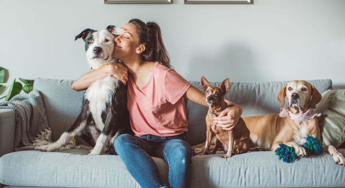 Tener varias mascotas en el hogar