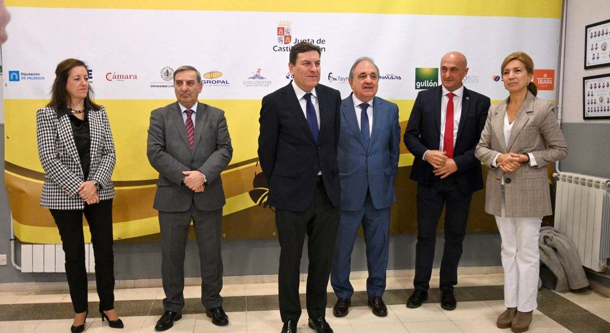 Un momento de la reunión de la Comisión de Seguimiento de Palencia 2023