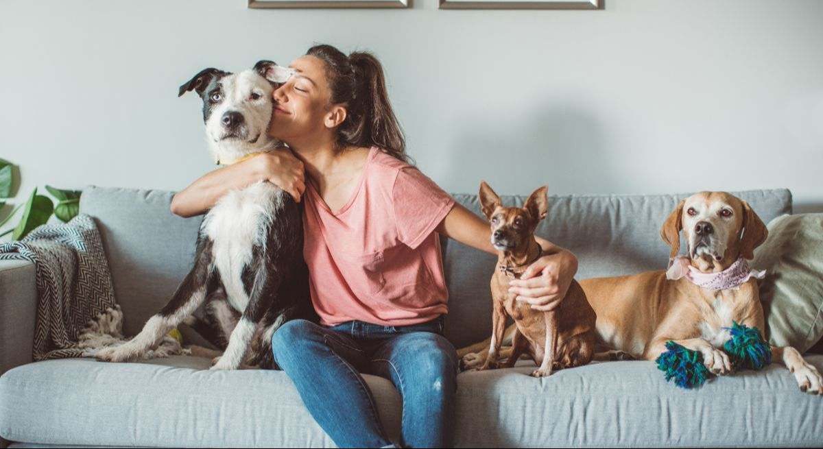 Seguro para mascotas