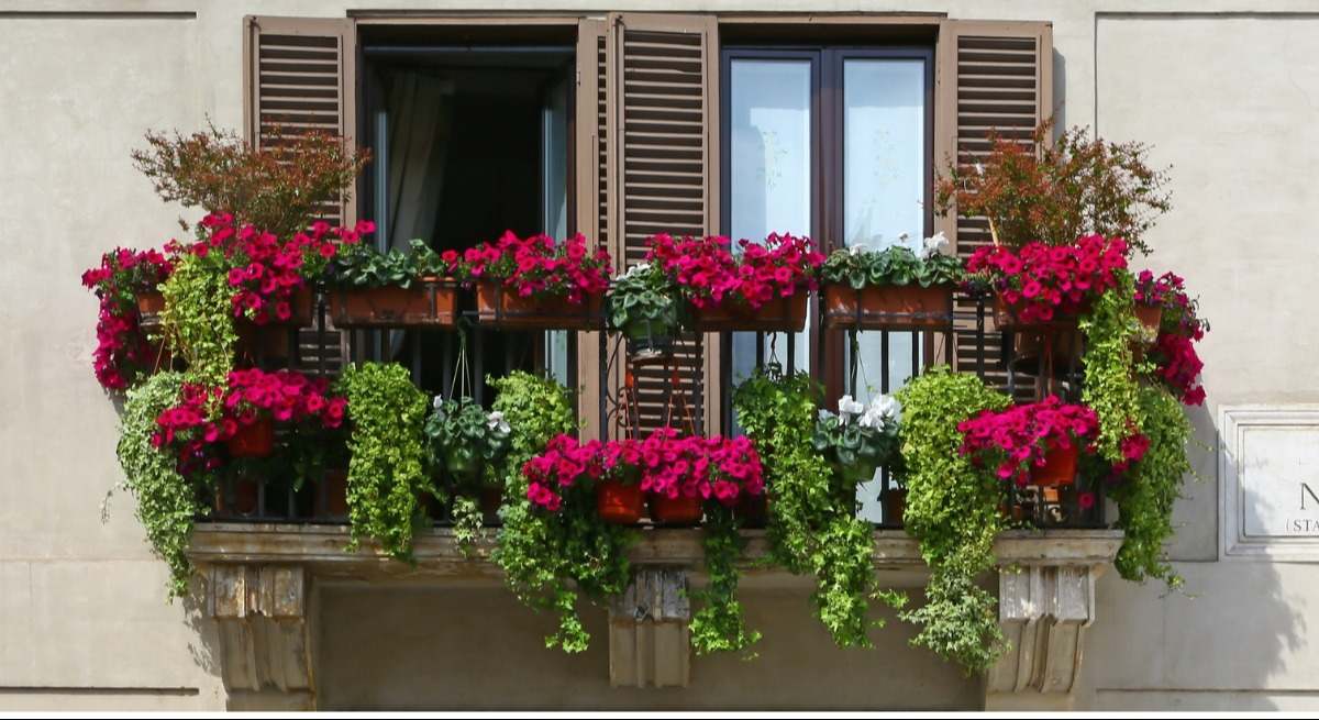 balcon-con-flores