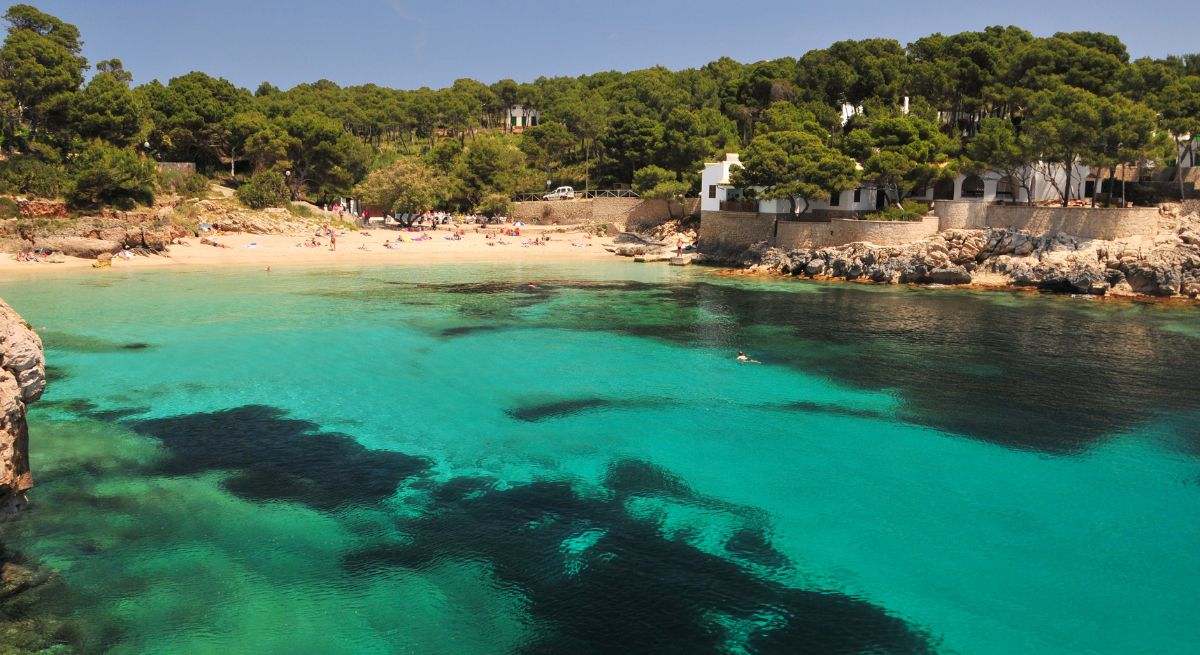 Una de las playas más populares de la isla de Mallorca con aguas cristalinas y algas en el fondo del mar