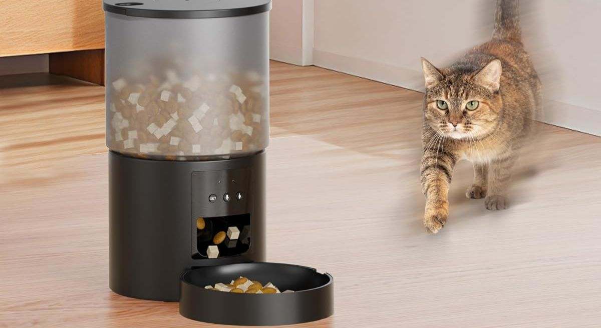 Comedero automático Wi-Fi para gatos y peros de POOEKEN