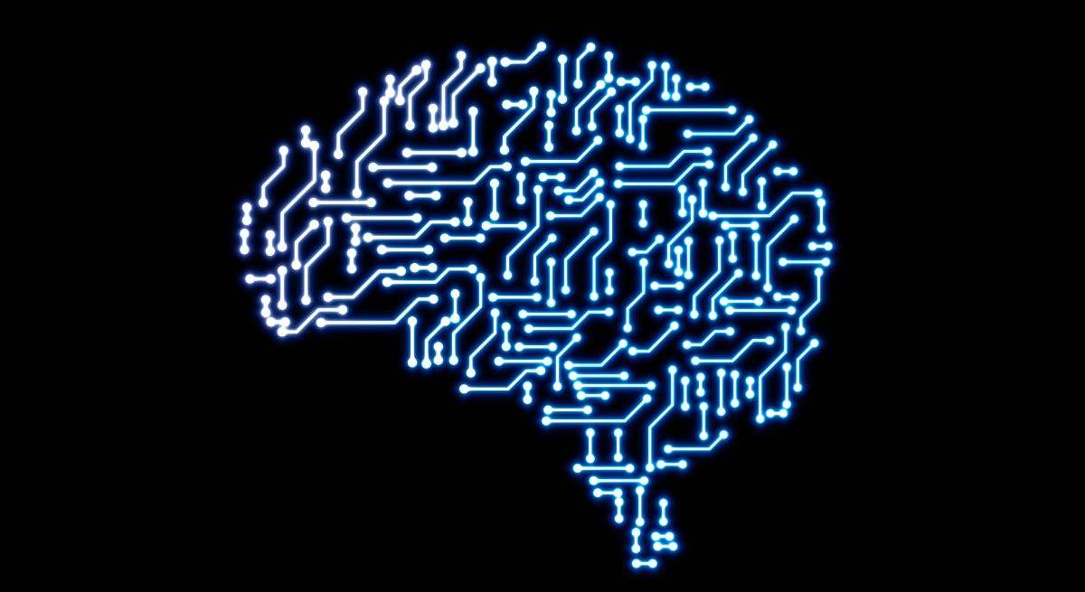 Actividad cerebral