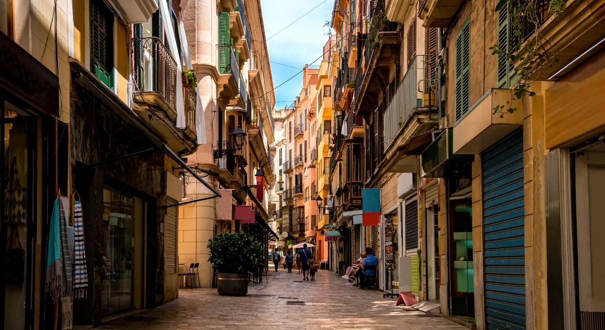 Palma-1.jpg