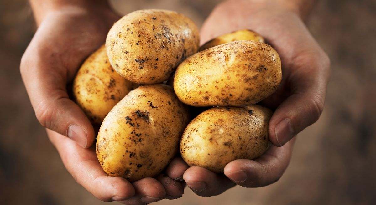 Varias patatas
