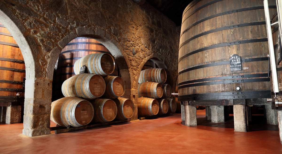 bodega de vino
