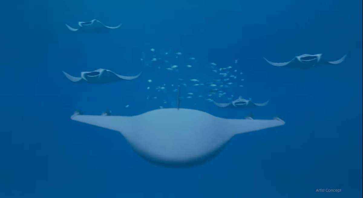 Dron mantarraya