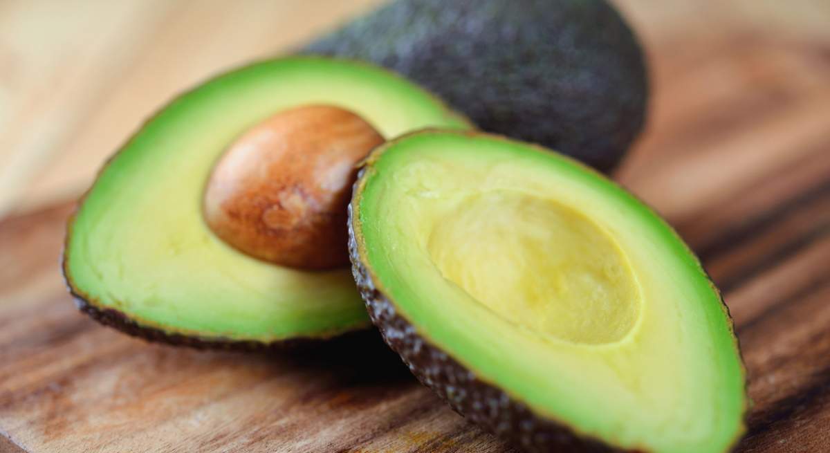 aguacate-harvard.jpg