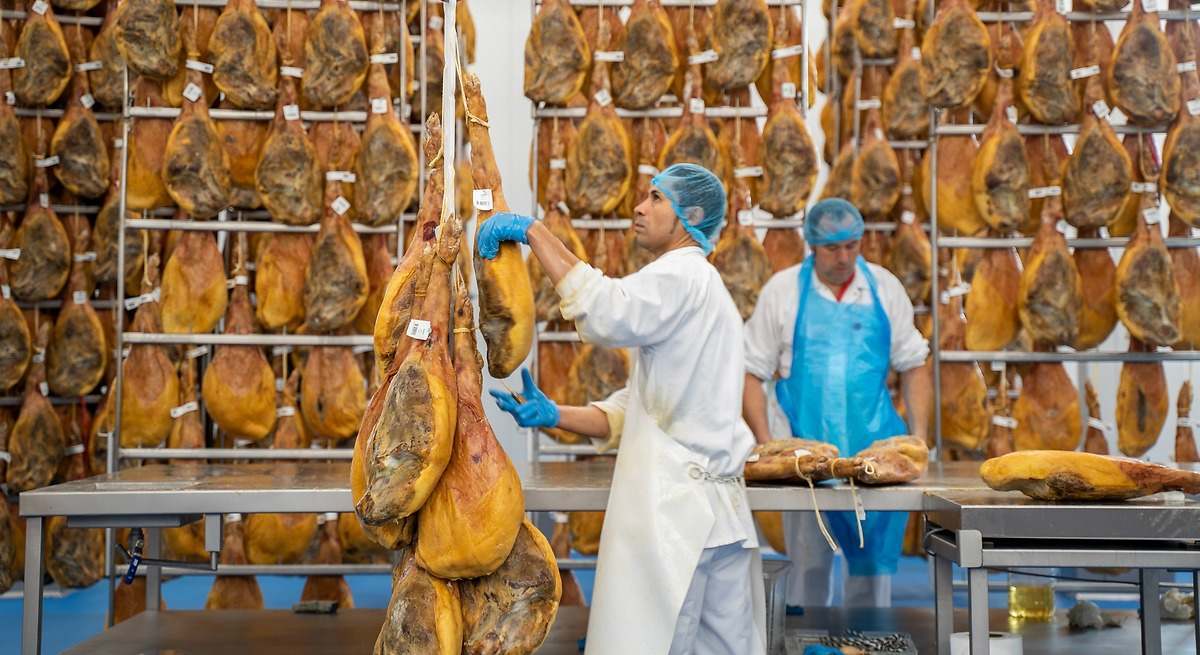 Trabajadores del sector porcino
