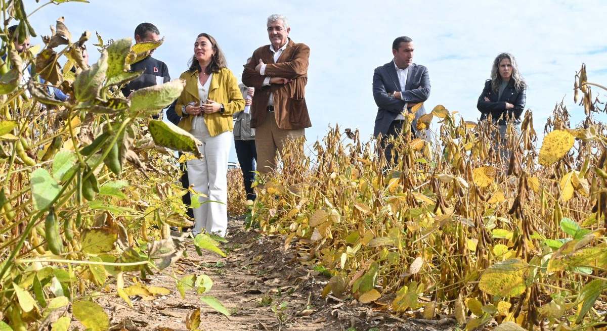 La consejera de Agricultura visita los campos experimentales de soja