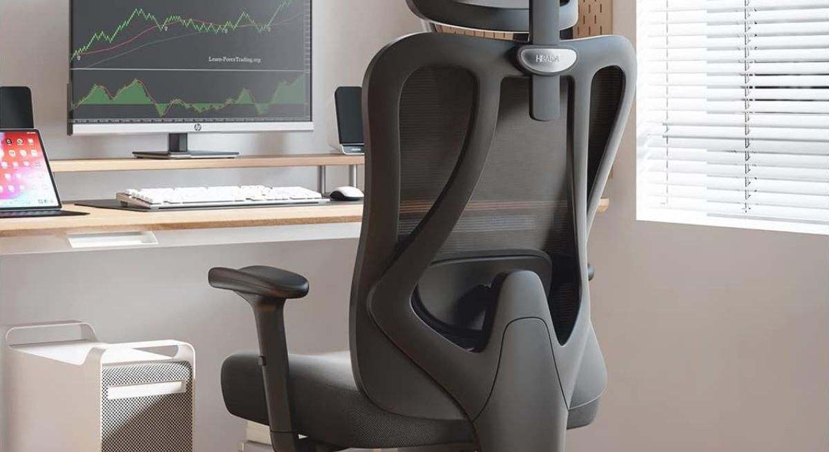 Silla de oficina ergonómica Hbada P3