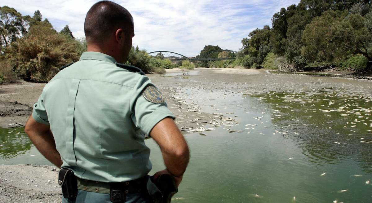 Desastre_fluvial_mediambiental_eE.jpg