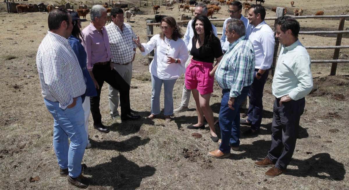 La consejera de Agricultura, María González Corral, presenta las ayudas para infraestrucutras ganaderas