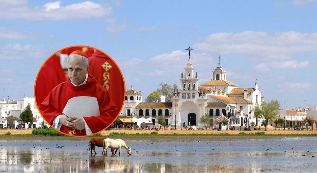 papa-leon
