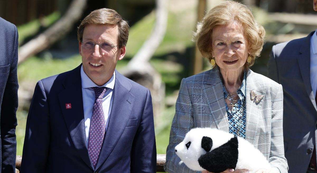 almeida-sofia-osos-panda-zoo-madrid-.jpg