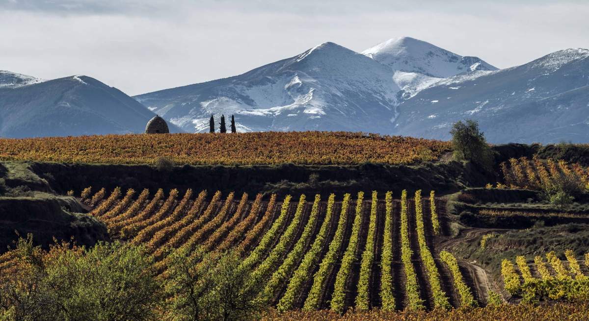 Enoturismo Rioja