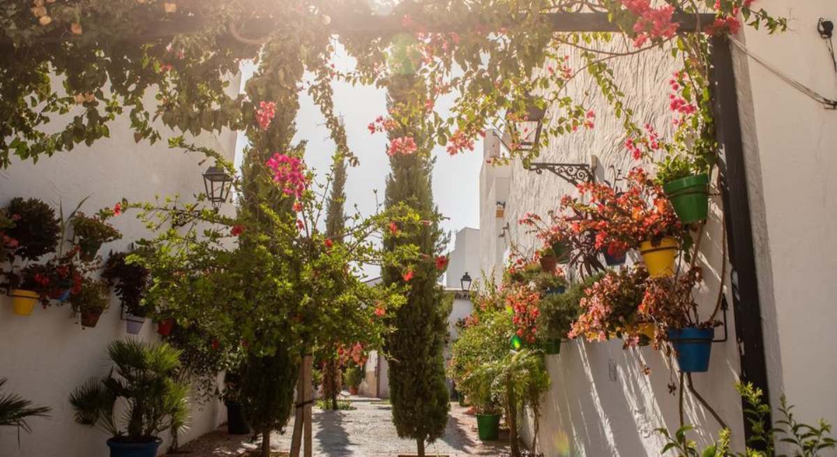 estepona1.jpg