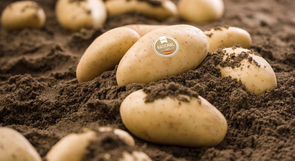 Patatas Meléndez