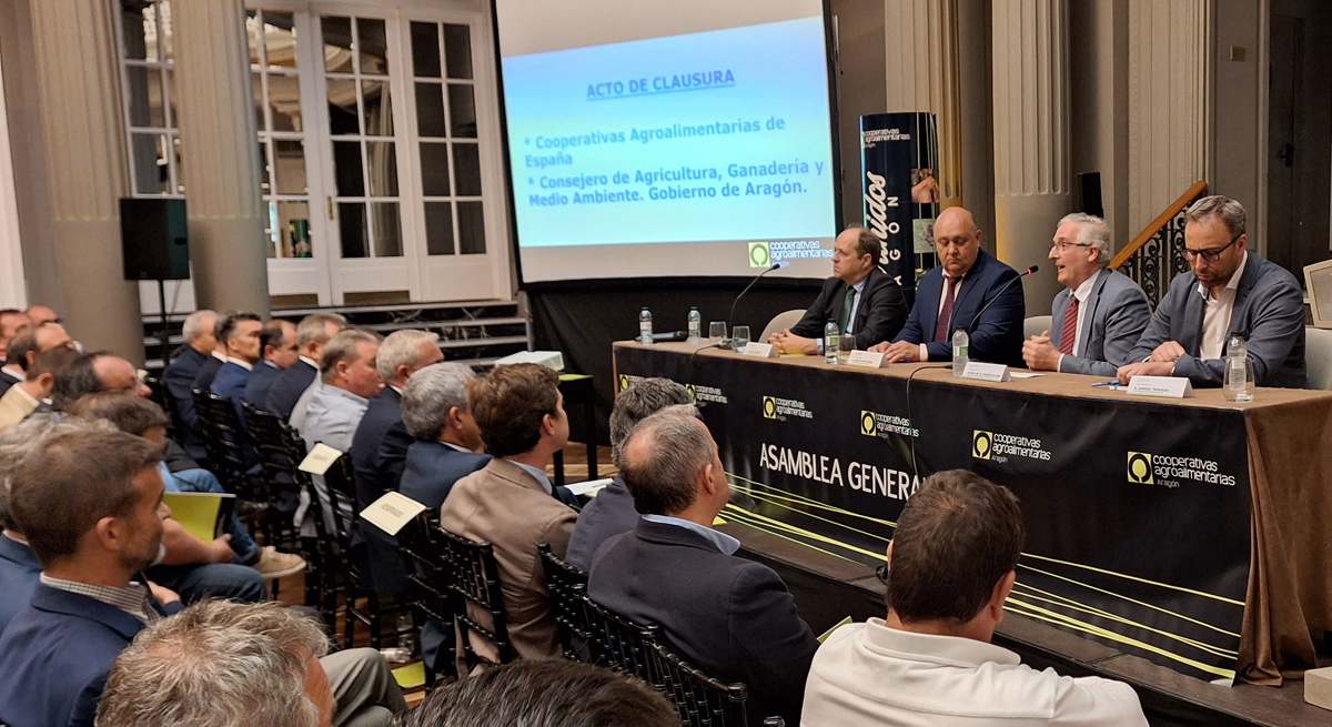 cooperativas